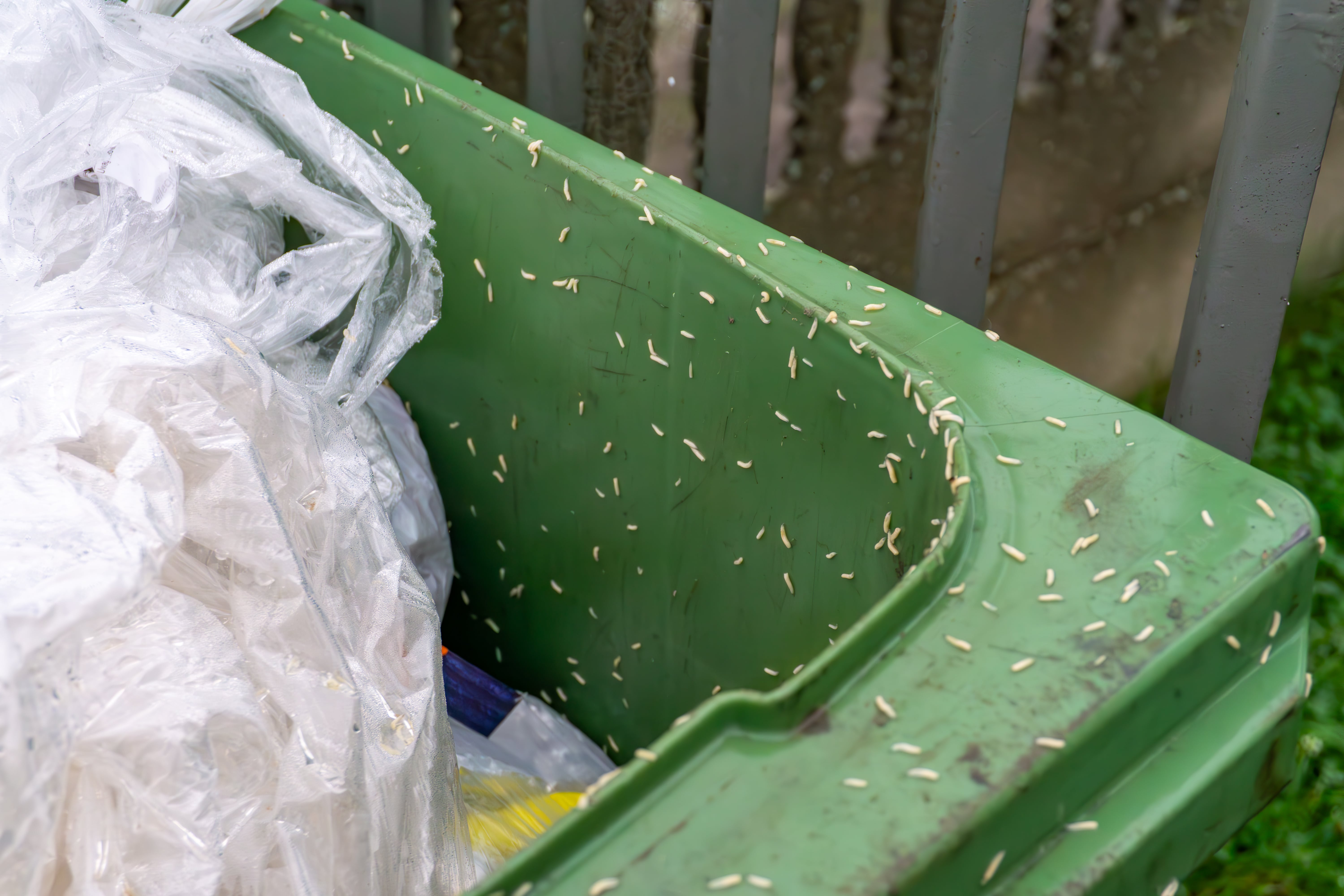 Maden in kliko voorkomen: de oplossing voor horeca, zorg en schoonmaak